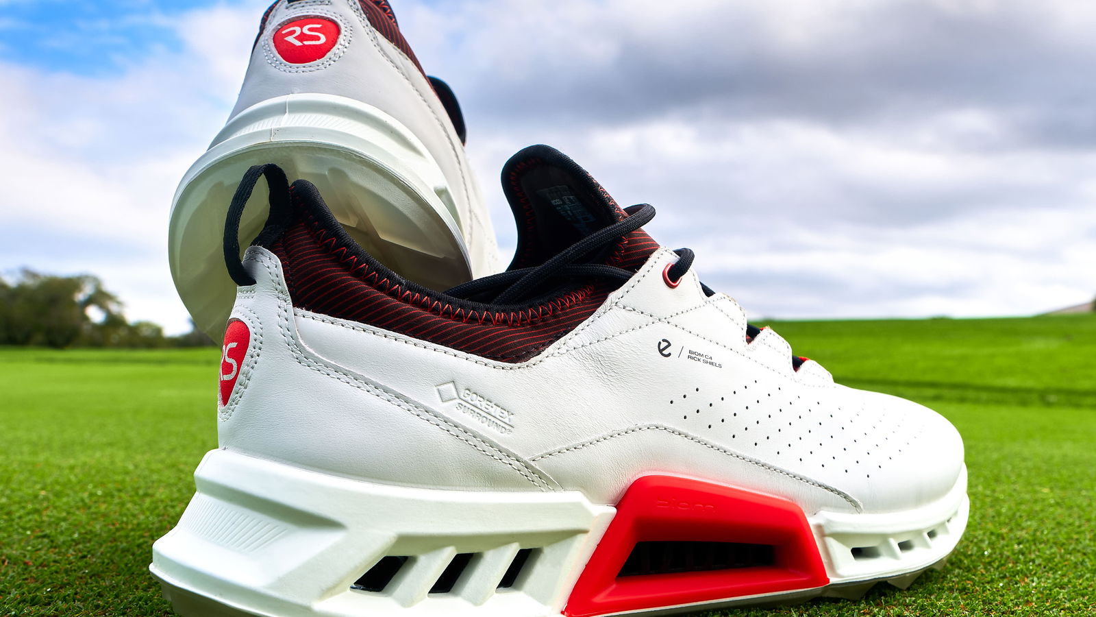 Rick Shiels ECCO BIOM C4
